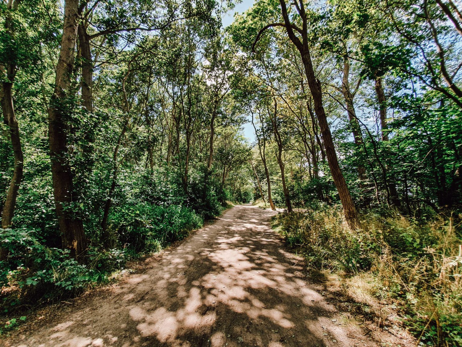 fahrrad rundweg suf der insel poel