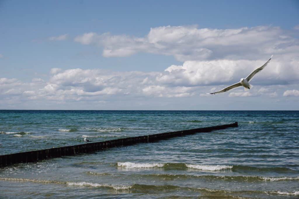 Sehenswürdigkeiten Wismar ferienfrei Insel Poel