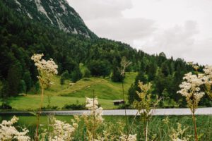Ferchensee Ausflugsziele ferienfrei Mittenwald