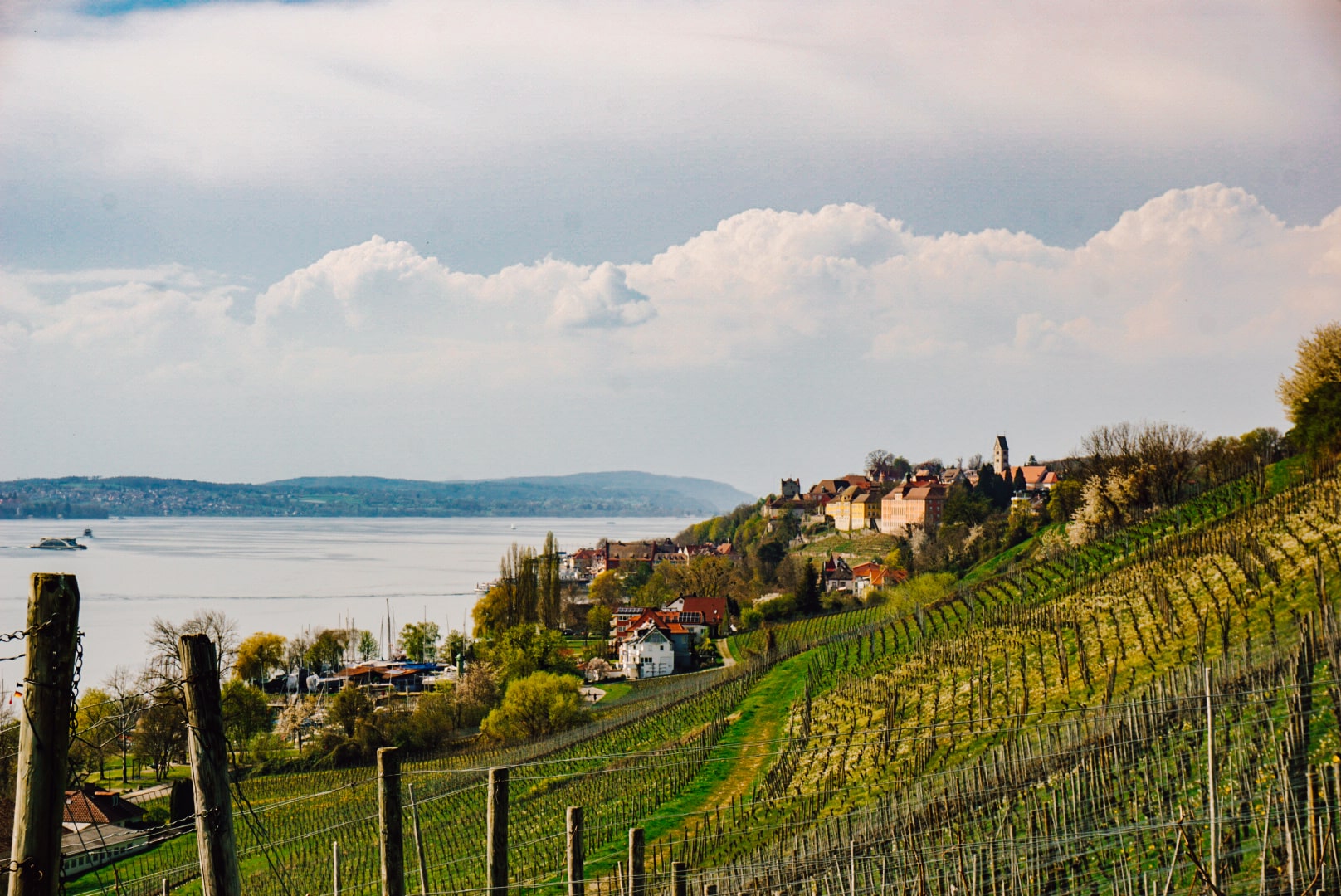 Read more about the article Bodensee