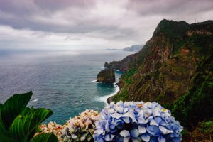 Read more about the article Madeira